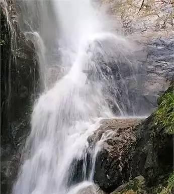 逃离未知丛林